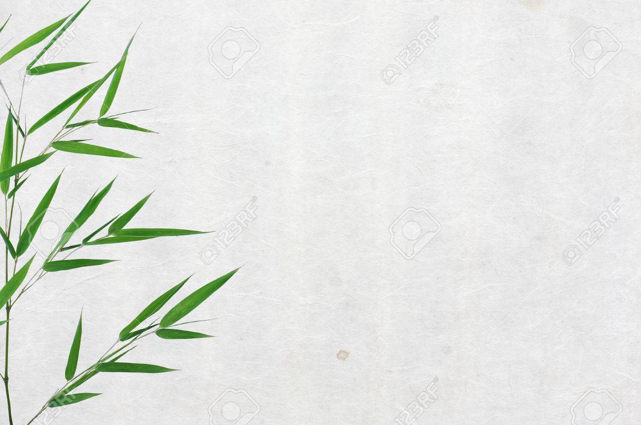 水平古い和紙テクスチャ背景の竹の葉します の写真素材 画像素材 Image 4461