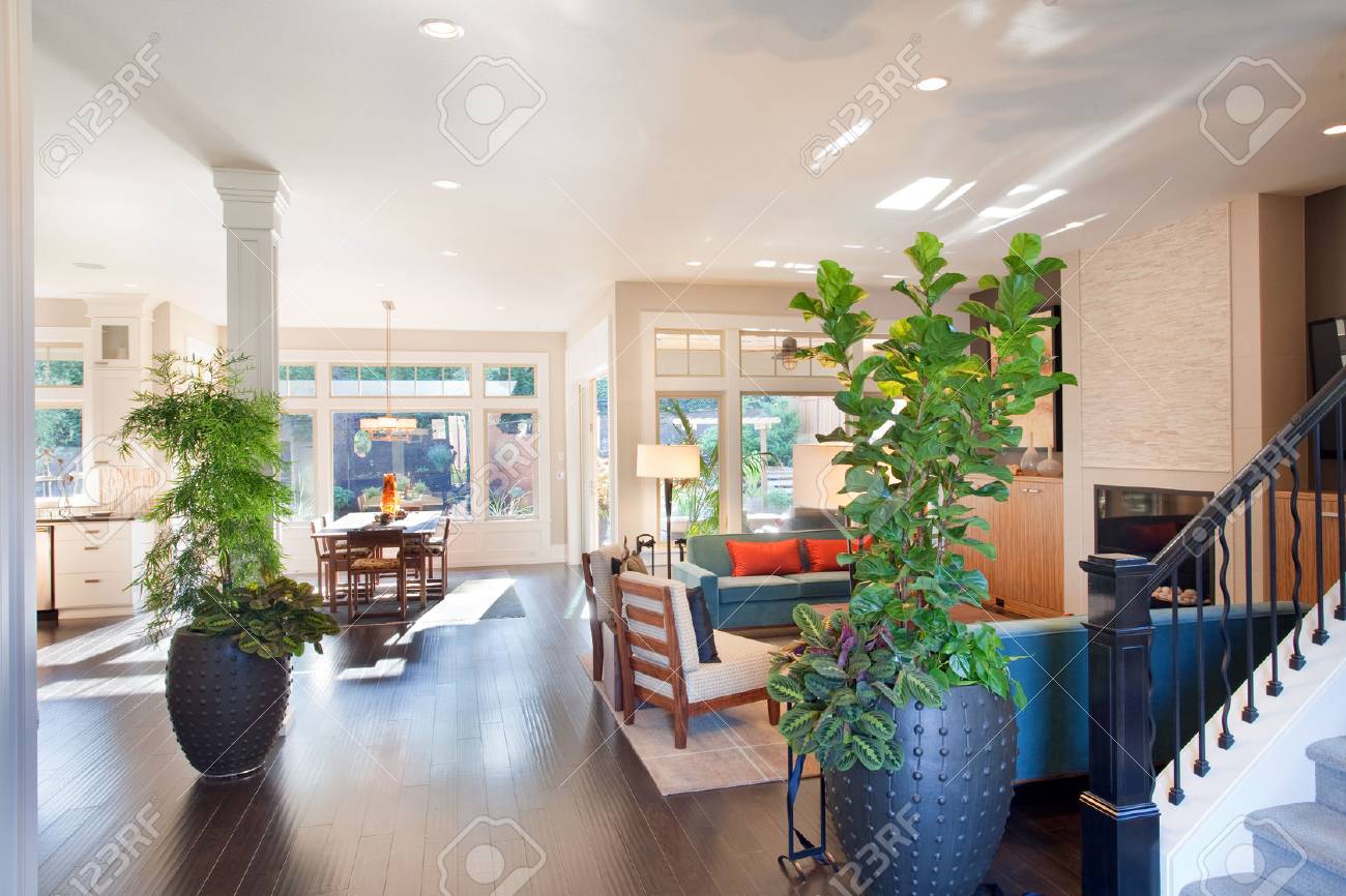 Große Wohnzimmer Interieur Mit Holzböden, Pflanzen, Speisezimmer ... Große Wohnzimmer Interieur Mit Holzböden, Pflanzen, Speisezimmer ...