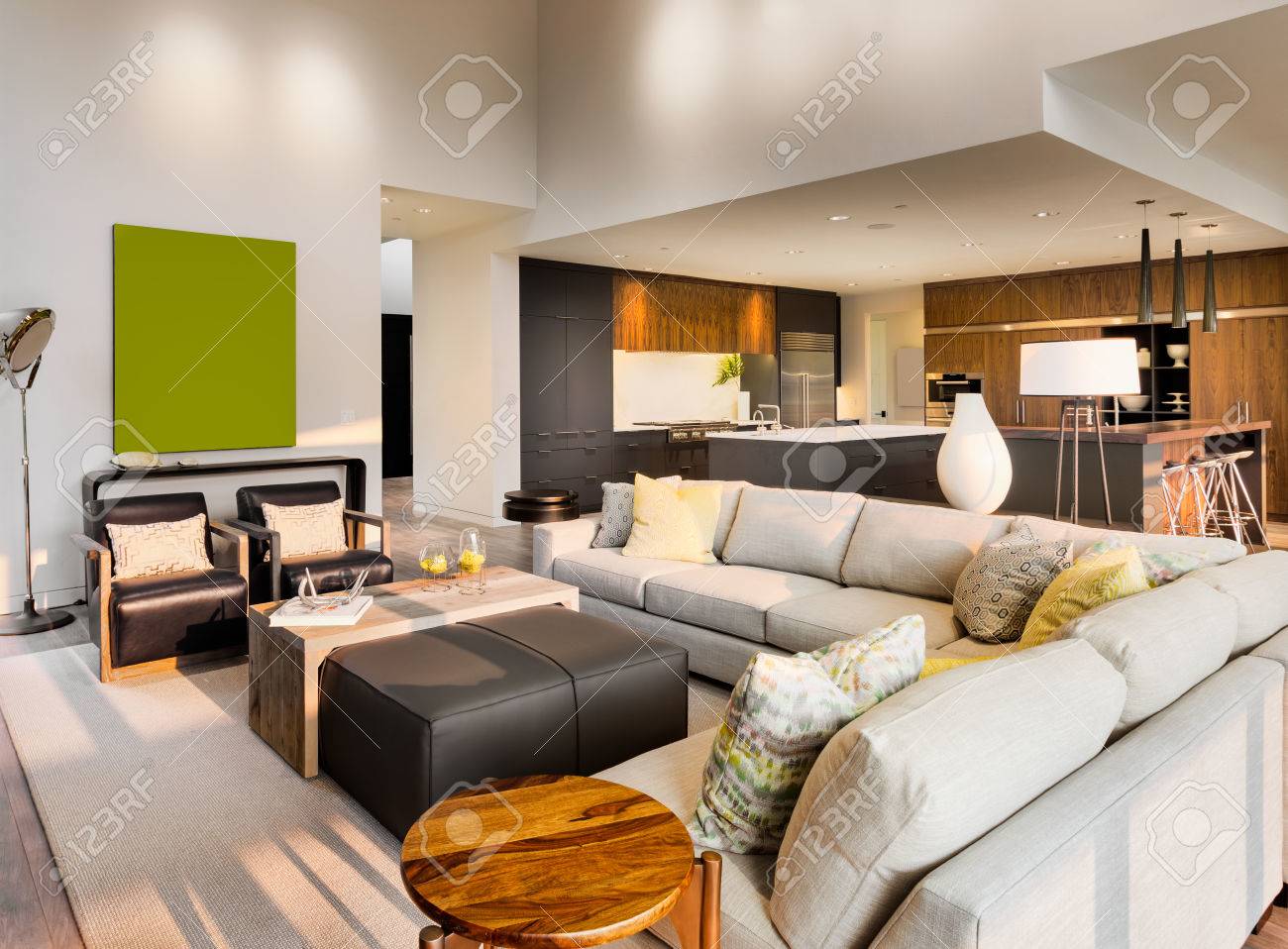 Bel Interieur Du Salon Avec Des Plafonds Voutes Et Floorplan Ouvert Dans La Nouvelle Maison De Luxe Avec Vue Sur La Cuisine Banque D Images Et Photos Libres De Droits Image 50834117