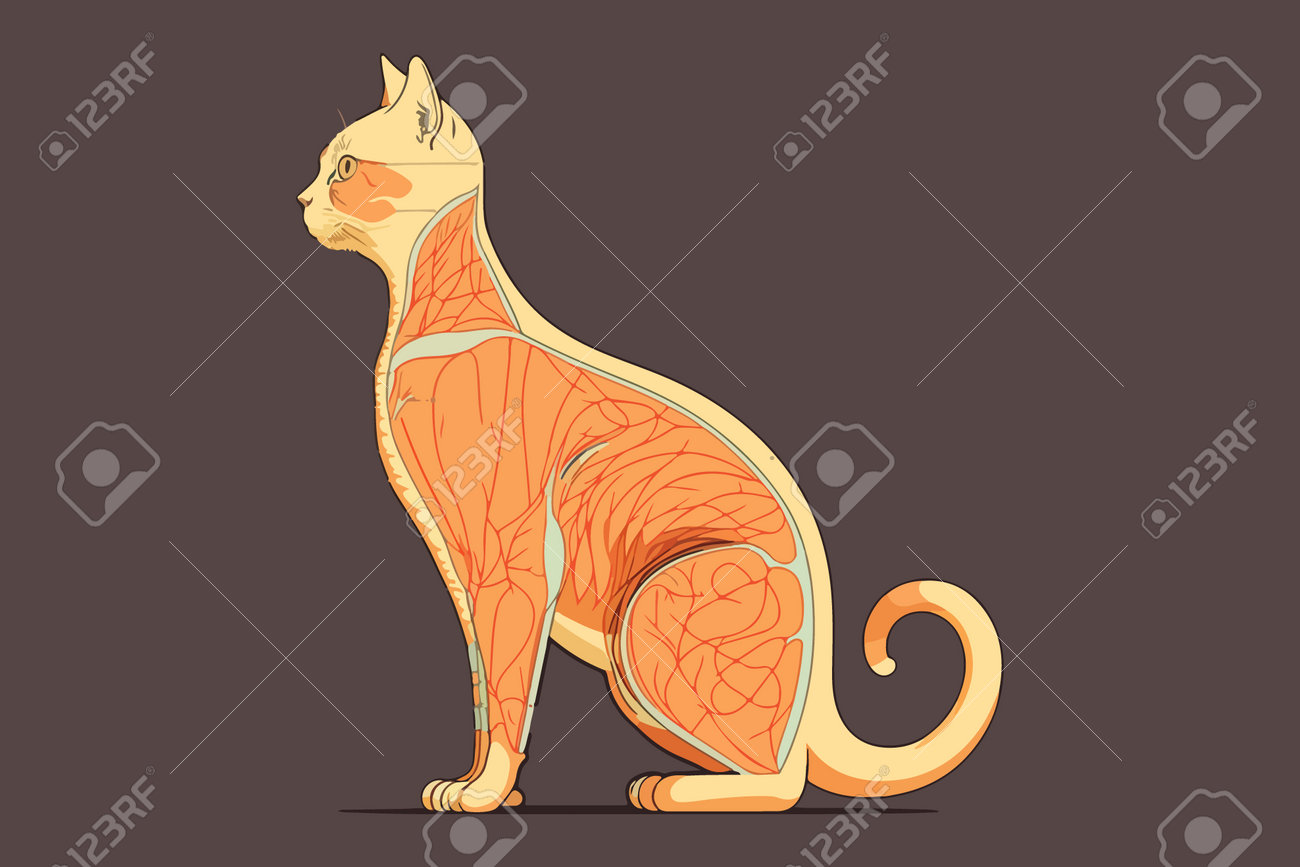 etiam-dictum-ipsum-a-felis