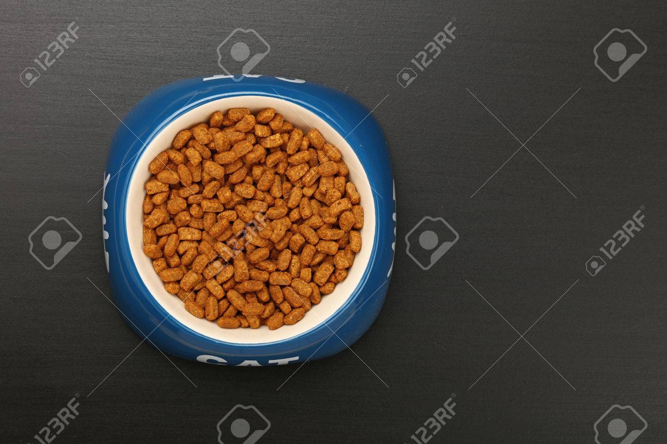 Portio De Nourriture De Chat Sec Et Brun Dans Un Bol En Ceramique Bleu Et Blanc Avec Mot Chat Sur Le Plancher Noir Gros Plan Vue De Dessus Perspective Personnelle Banque D Images Portio De Nourriture De Chat Sec Et Brun Dans Un Bol En Ceramique Bleu Et Blanc Avec Mot Chat Sur Le Plancher Noir Gros Plan Vue De Dessus Perspective Personnelle Banque D Images