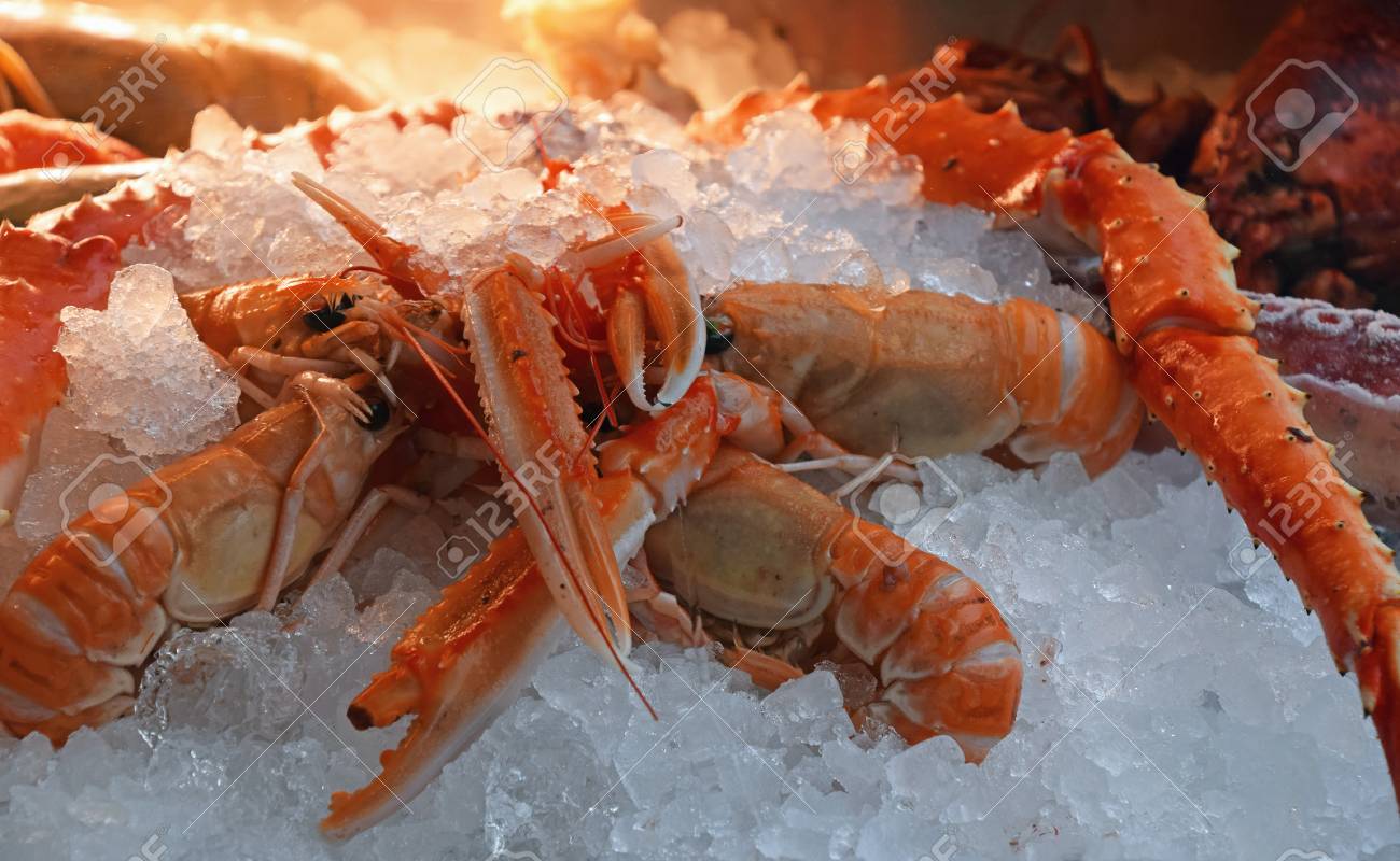 新鮮な赤手長エビ アカザエビどぶねずみやノルウェーのロブスター ダブリン湾のエビ手長海老 の小売市場の表示 低角度のビューをすぐに氷の上をキャッチします の写真素材 画像素材 Image 新鮮な赤手長エビ アカザエビどぶねずみやノルウェーのロブスター ダブリン湾のエビ手長海老 の小売市場の表示 低角度のビューをすぐに氷の上をキャッチします の写真素材 画像素材 Image