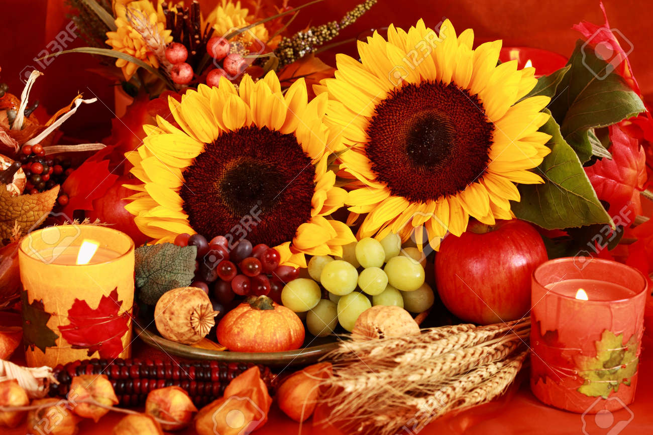 harvest decorations still life and harvest or table decoration for thanksgiving - Harvest Decorations harvest decorations still life and harvest or table decoration for thanksgiving - Harvest Decorations