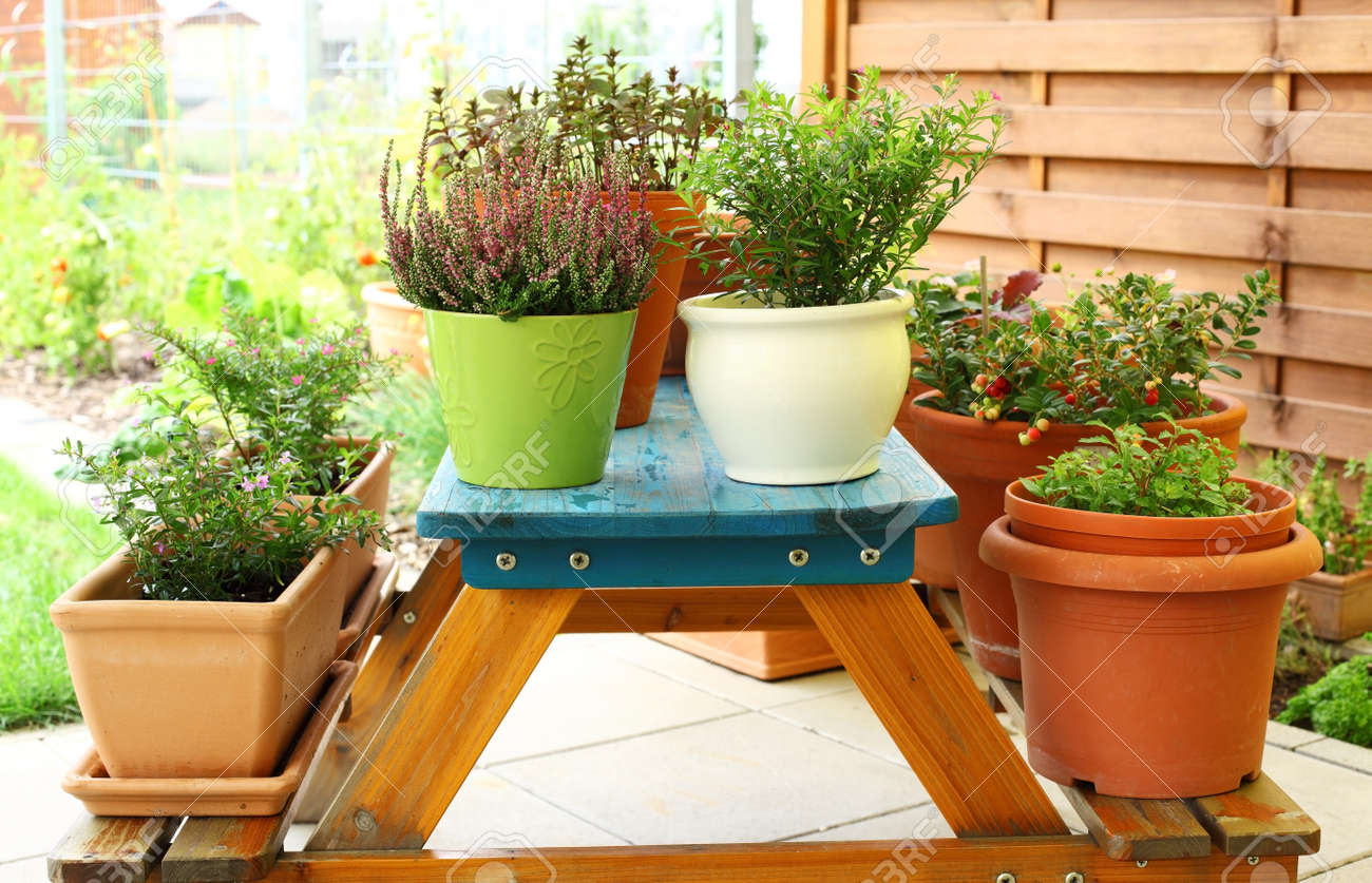 Outdoor flower pots for small garden, patio or terrace - 10283794 Outdoor flower pots for small garden, patio or terrace - 10283794