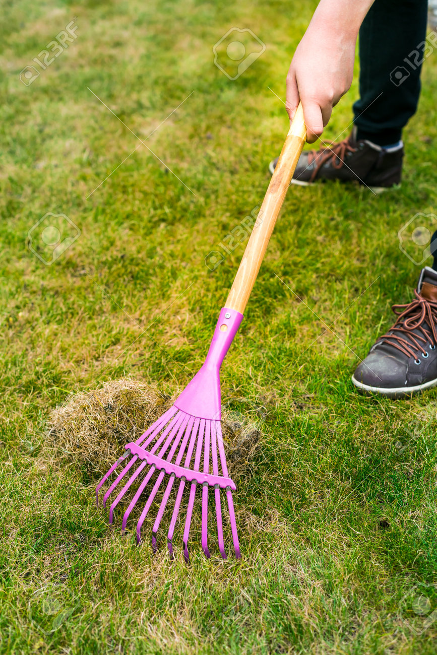 Scarifier jardin 2024