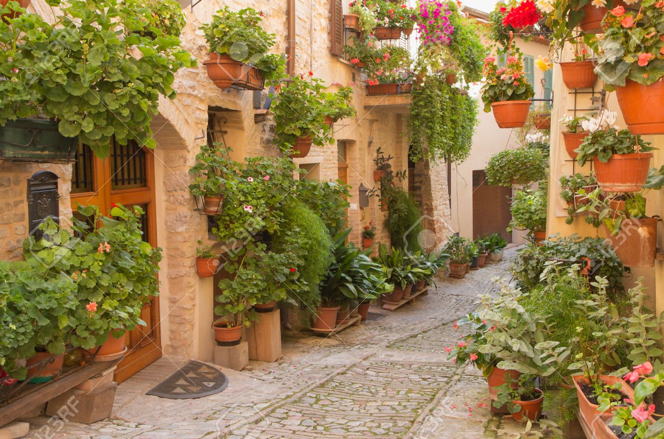 Street decorated with plants and flowers in the historic Italian city. (Spello, Umbria, Italy.) Horizontally. - 32646059 Street decorated with plants and flowers in the historic Italian city. (Spello, Umbria, Italy.) Horizontally. - 32646059