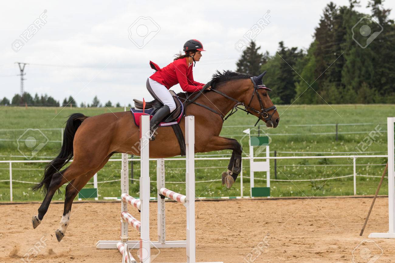 red showjumping jacket