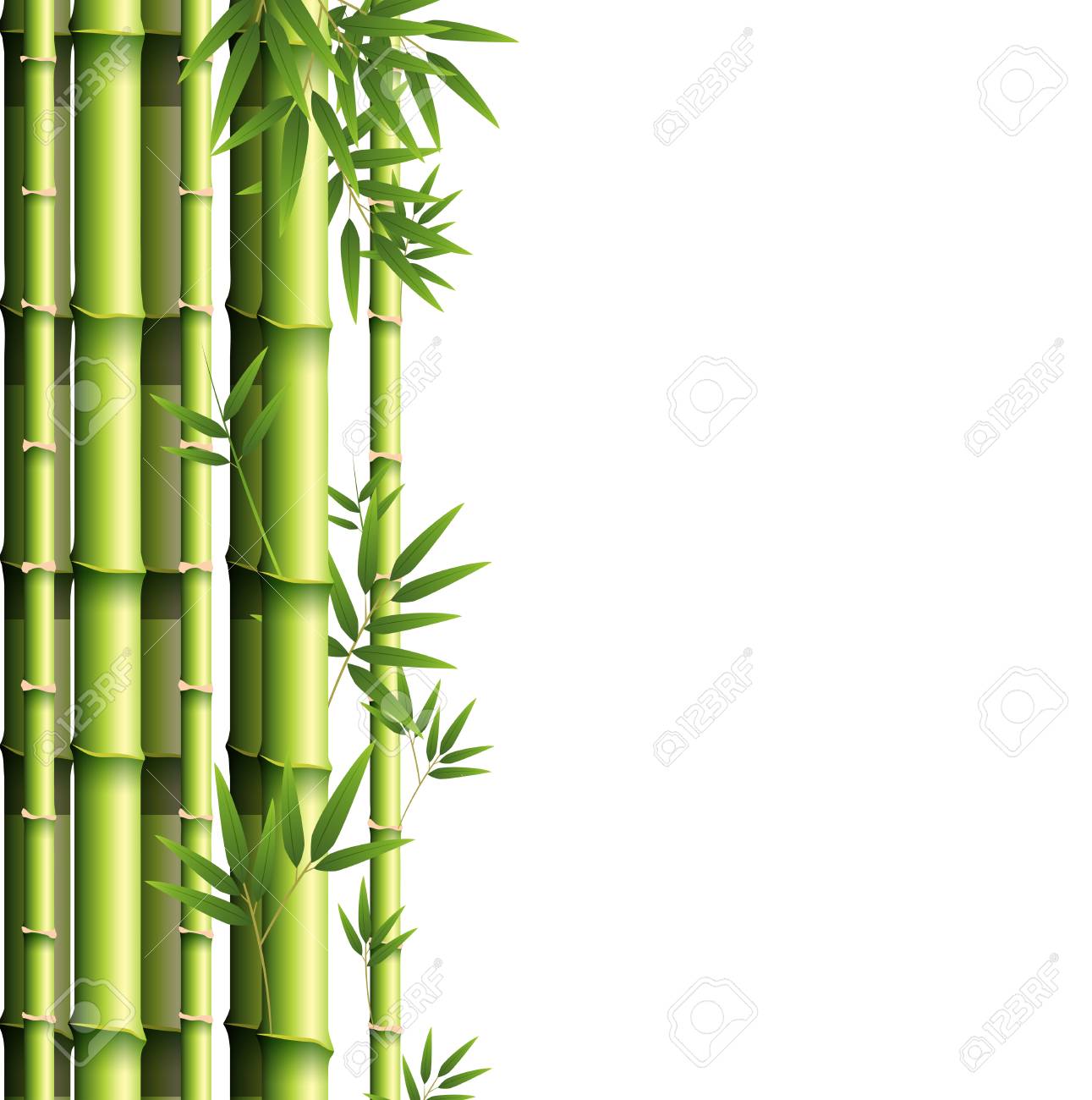 緑竹イラストを背景にデザイン のイラスト素材 ベクタ Image