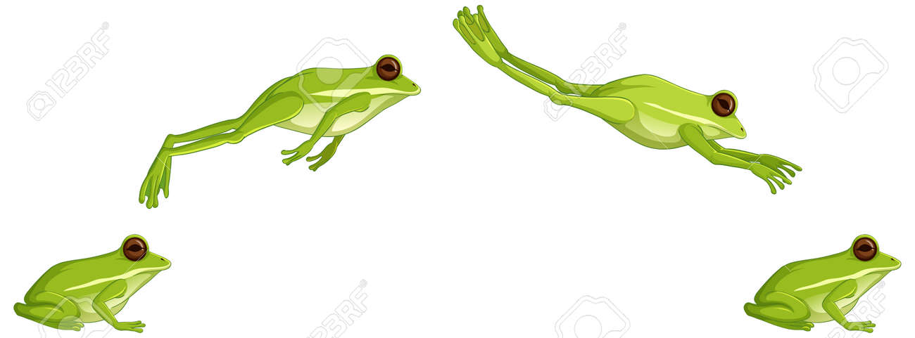 Séquence de saut de grenouille verte isolée sur fond blanc illustration - 164238510