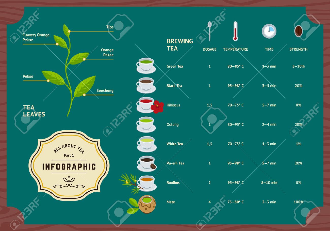 紅茶インフォ グラフィックのベクトルを設定します 分類植物葉 紅茶ルールの醸造およびスキームの図 フラット情報コンセプト のイラスト素材 ベクタ Image