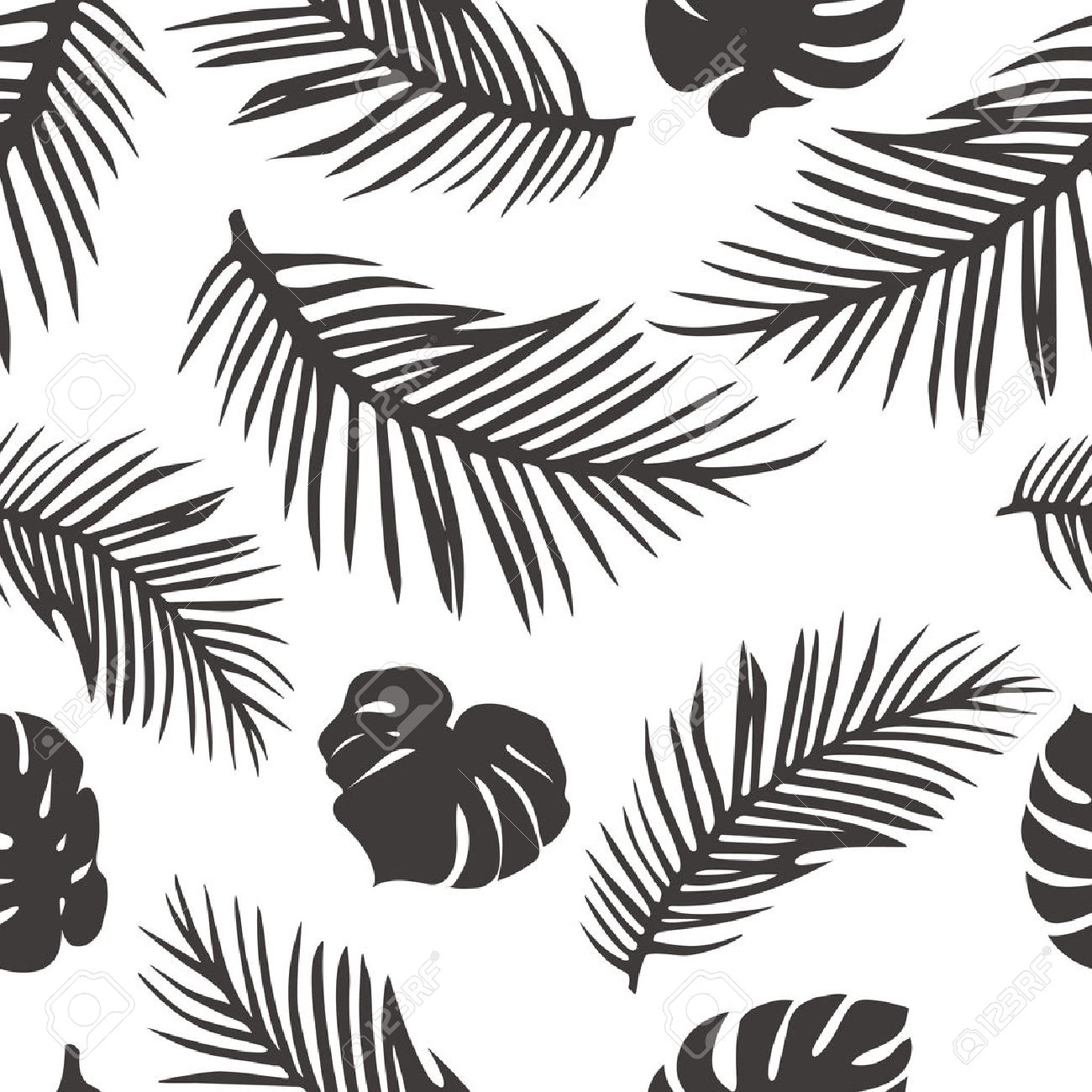 シュロの葉で孤立した白 パームとモンステラの葉のシームレスなパターン 熱帯のベクトルの背景 熱帯のヤシのシルエット図形です のイラスト素材 ベクタ Image