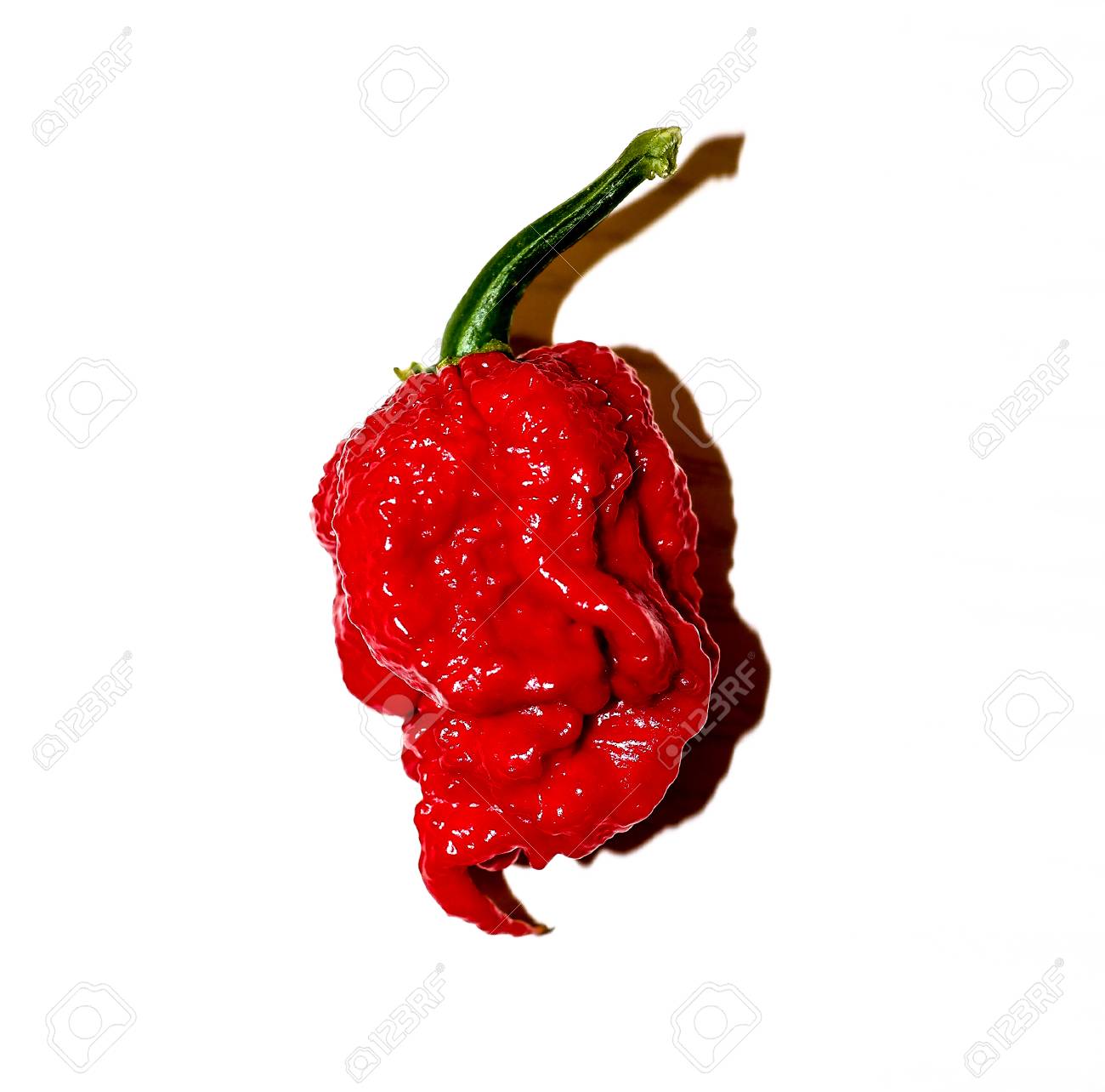 red carolina reaper chili peppers stock photo picture and royalty