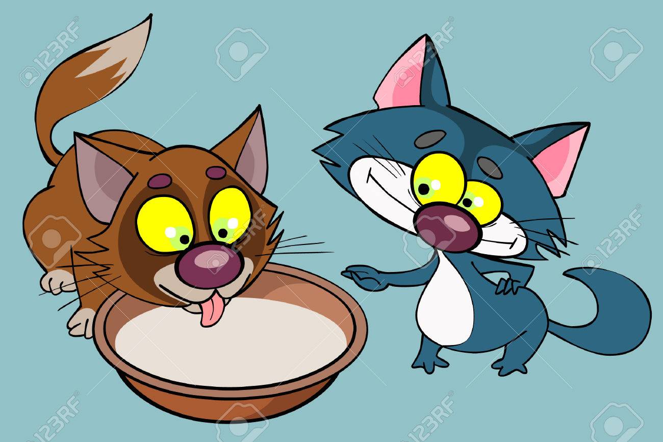 kittens drinking milk