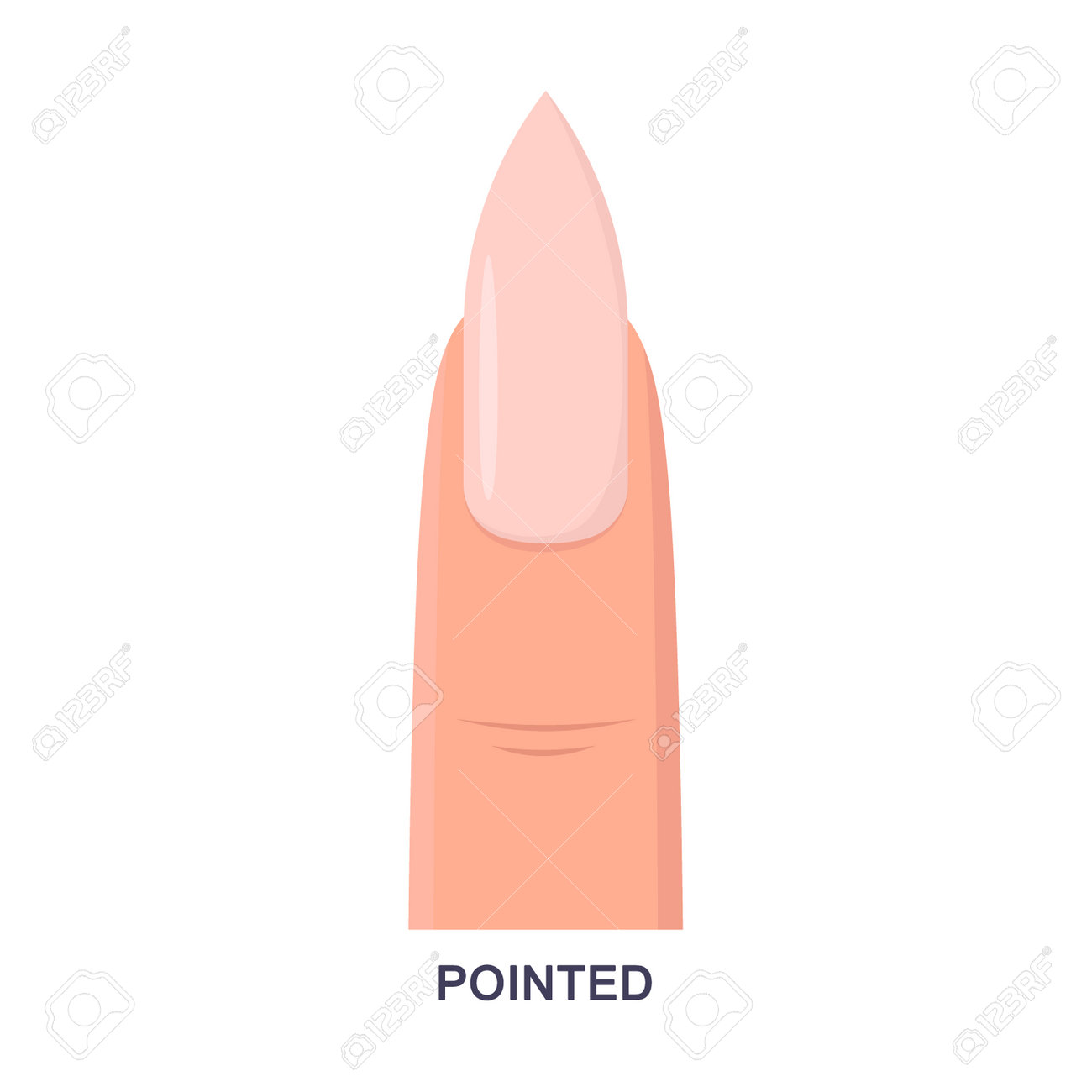Pointed Fingernail Vector Illustration. Cartoon Drawing Of Pink Nail Shape  Isolated On White Background. Nail Art, Beauty Salon Concept Royalty Free  SVG, Cliparts, Vectors, and Stock Illustration. Image 198178716., image size:1300x1300