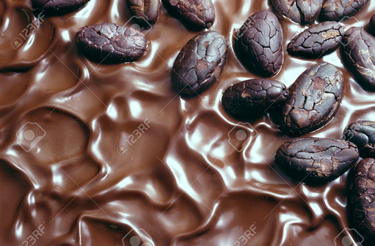 Cocoa Beans Cocoa Beans
