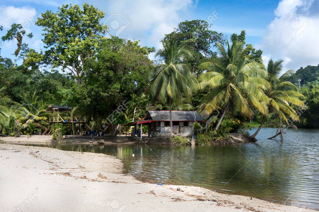 Scenic view of beach with palm trees and tourist resort, Trinidad, Trinidad and Tobago - 51447414 Scenic view of beach with palm trees and tourist resort, Trinidad, Trinidad and Tobago - 51447414