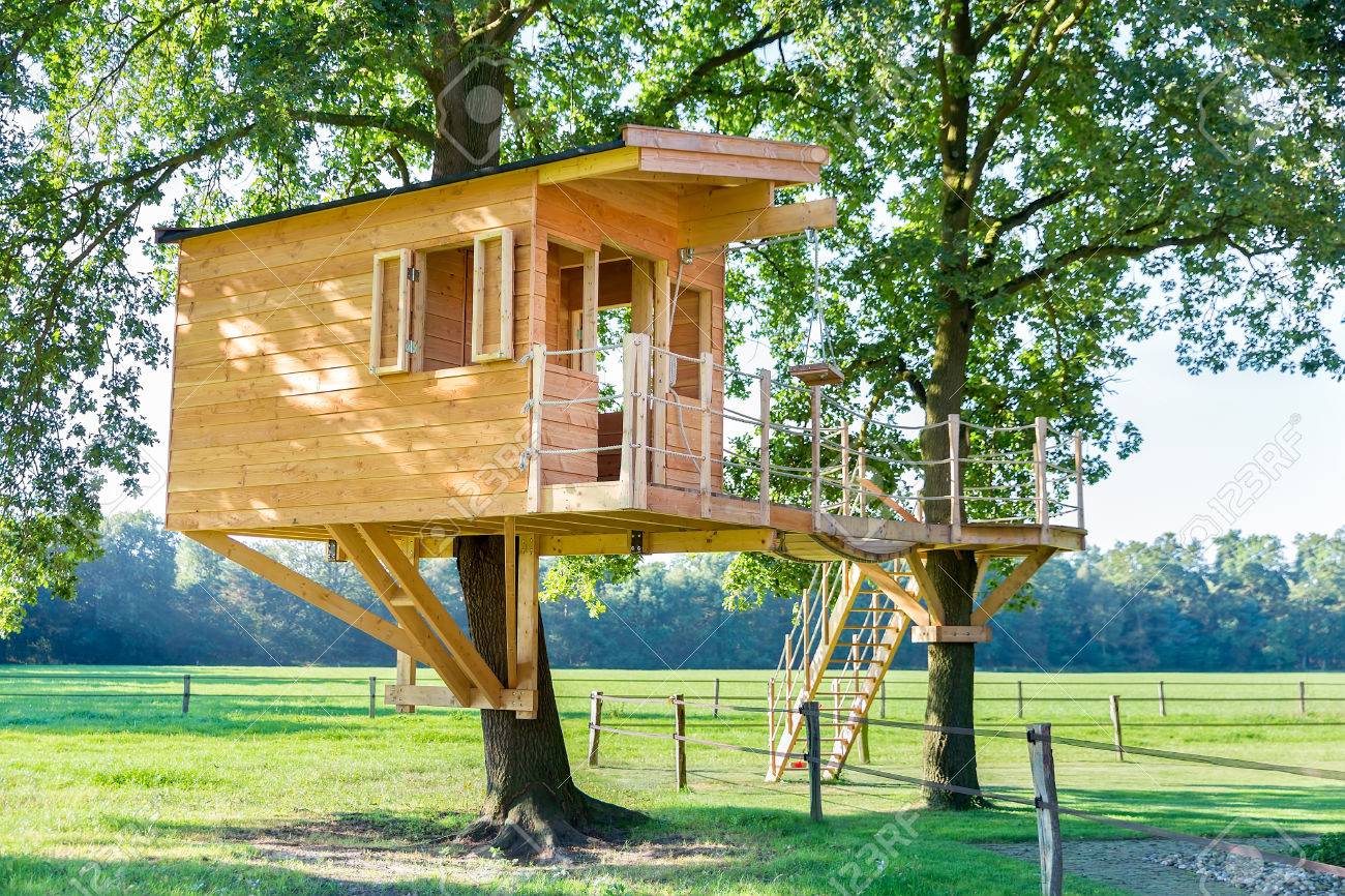 De Nueva Construcción Cabaña En Un árbol De Madera En Los árboles De Roble  Con Pastos Fotos, Retratos, Imágenes Y Fotografía De Archivo Libres De  Derecho. Image 66721398.