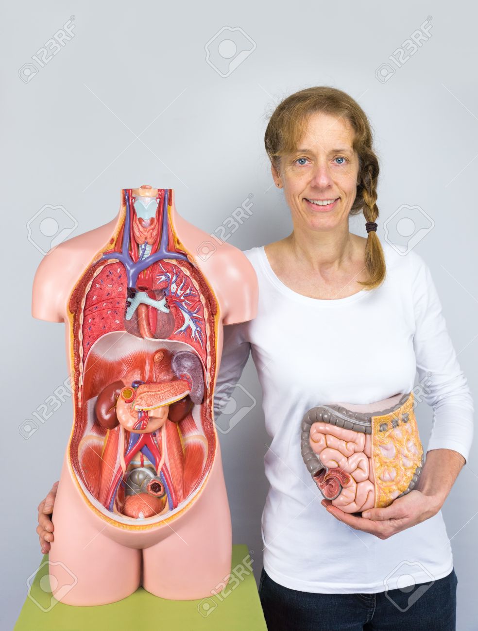 女　腸 白人女性の腸に胴体としてモデルと人間の体を見せての写真素材・画像素材 Image 67284763