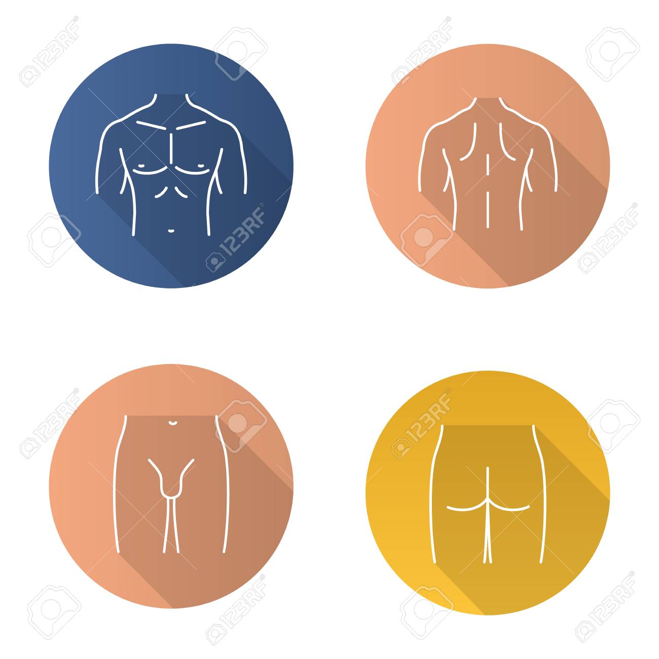 Male body parts flat linear long shadow icons set. Muscular chest, back, groin, butt. Vector outline illustration - 88832542 Male body parts flat linear long shadow icons set. Muscular chest, back, groin, butt. Vector outline illustration - 88832542