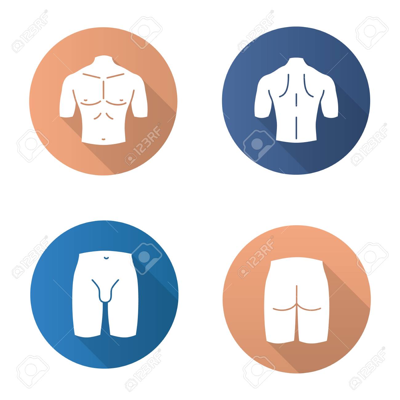 Male body parts flat design long shadow glyph icons set. Muscular chest, back, groin, butt. Vector silhouette illustration - 93335846 Male body parts flat design long shadow glyph icons set. Muscular chest, back, groin, butt. Vector silhouette illustration - 93335846