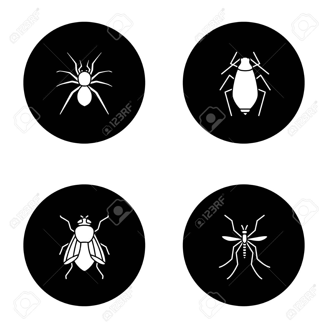 昆虫のグリフ アイコン セット クモ アブラムシ ホモフライ 蚊 黒丸のベクトル白いシルエットイラスト のイラスト素材 ベクタ Image 9696