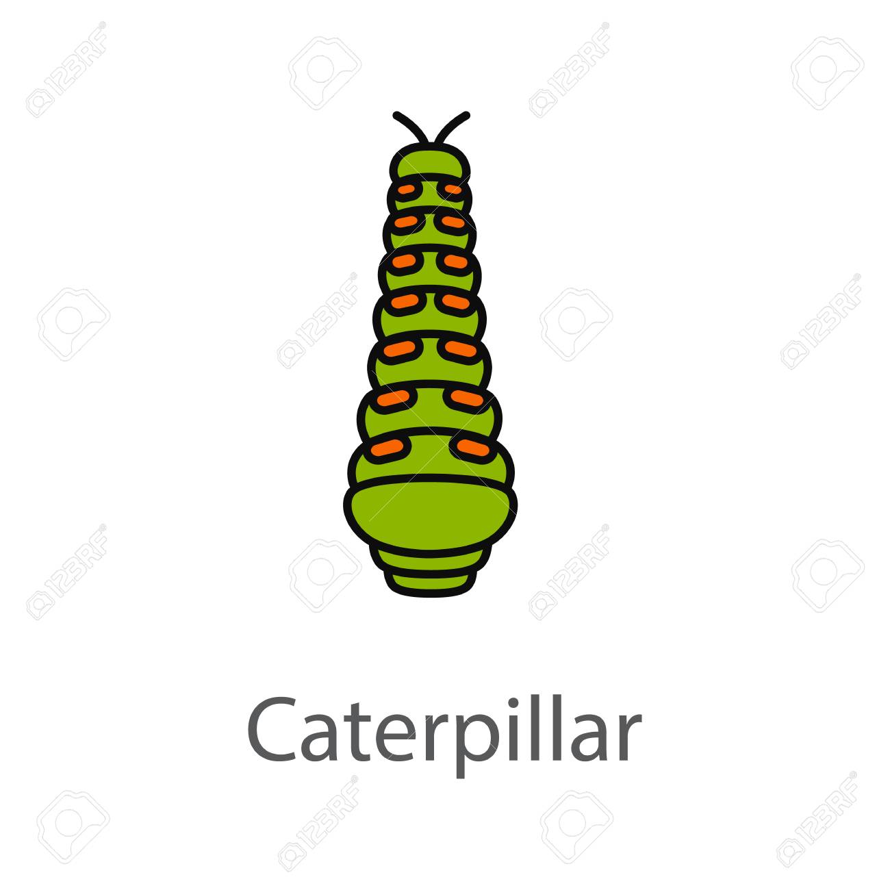 caterpillar color icon butterfly larval stage isolated vector