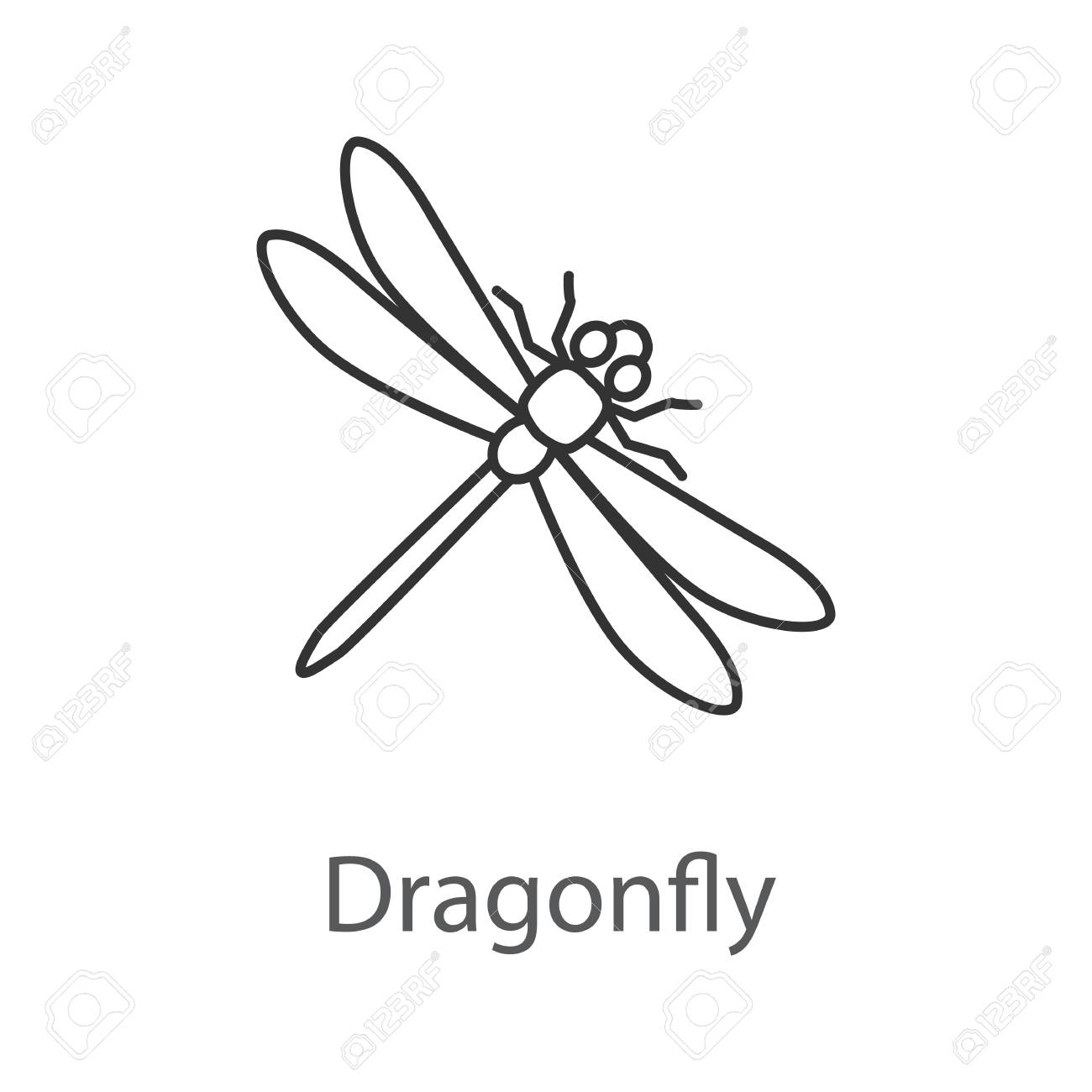 dragonfly linear icon insect thin line illustration contour dragonfly outline