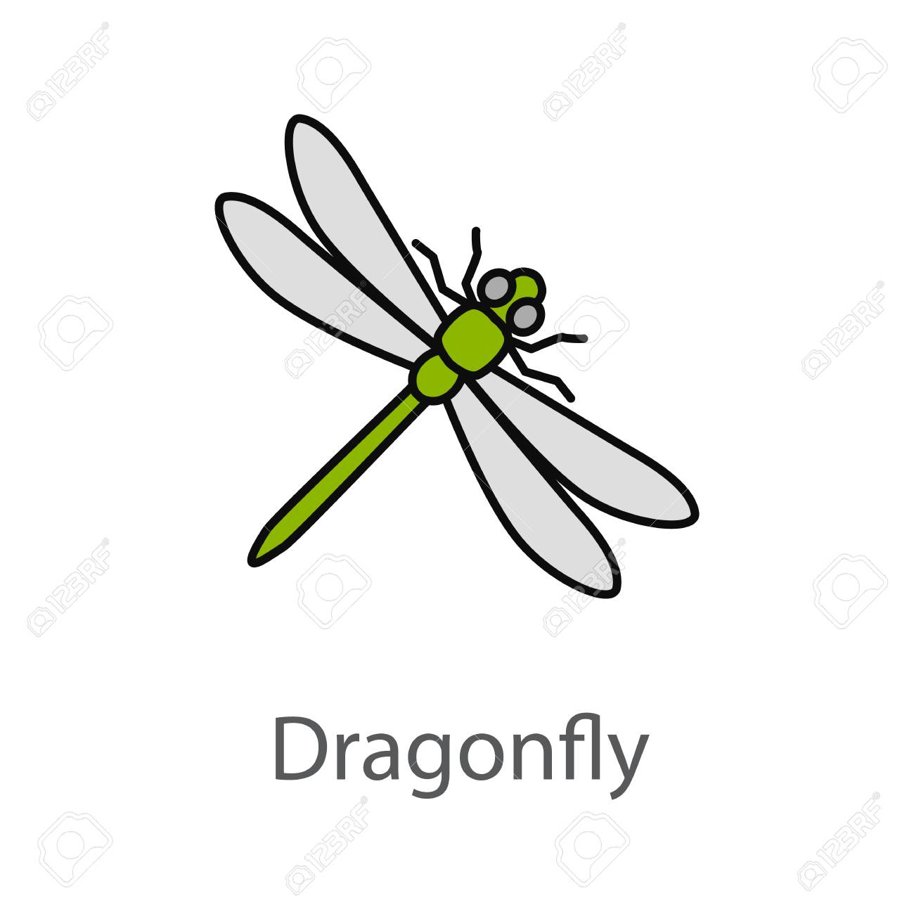dragonfly color icon insect isolated vector illustration royalty