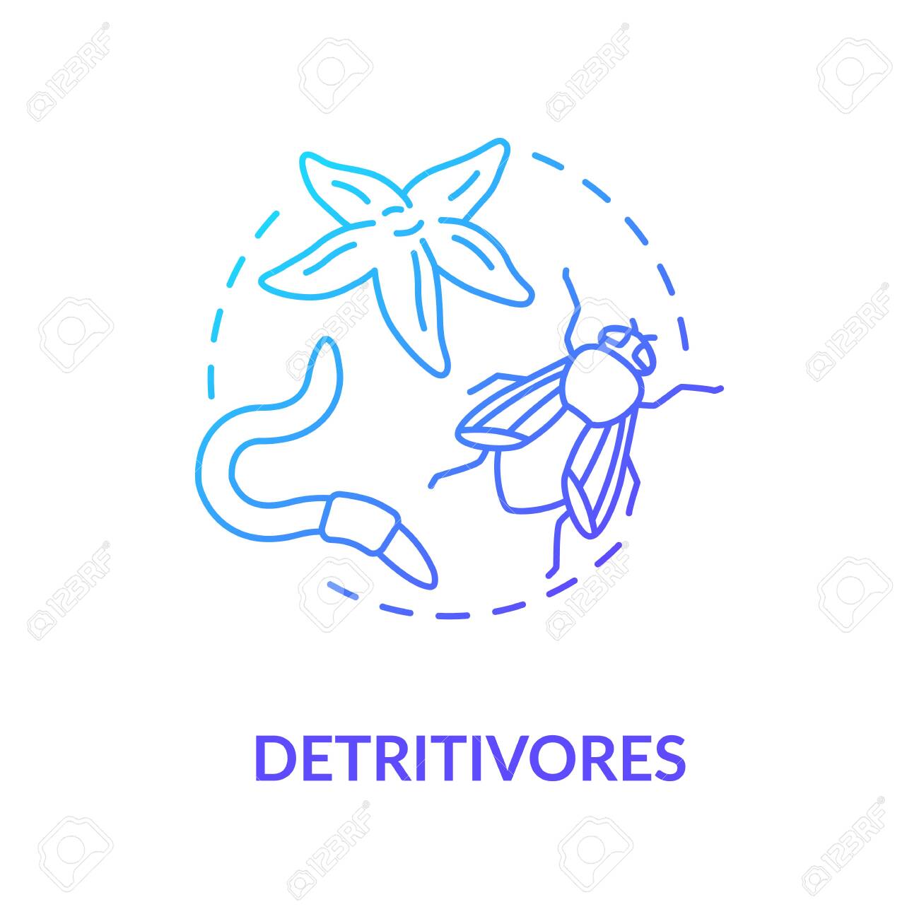 Detritivores Concept Icon. Food Chain Energy Consumer Organisms. Insects  And Earthworms. Detritus Feeders Idea Thin Line Illustration. Vector  Isolated Outline RGB Color Drawing Royalty Free SVG, Cliparts, Vectors, and  Stock Illustration. Image, image size:1300x1300