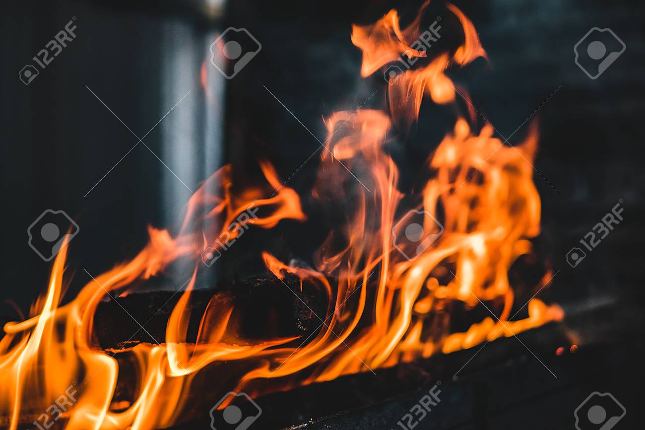 etiam-dictum-ipsum-a-felis