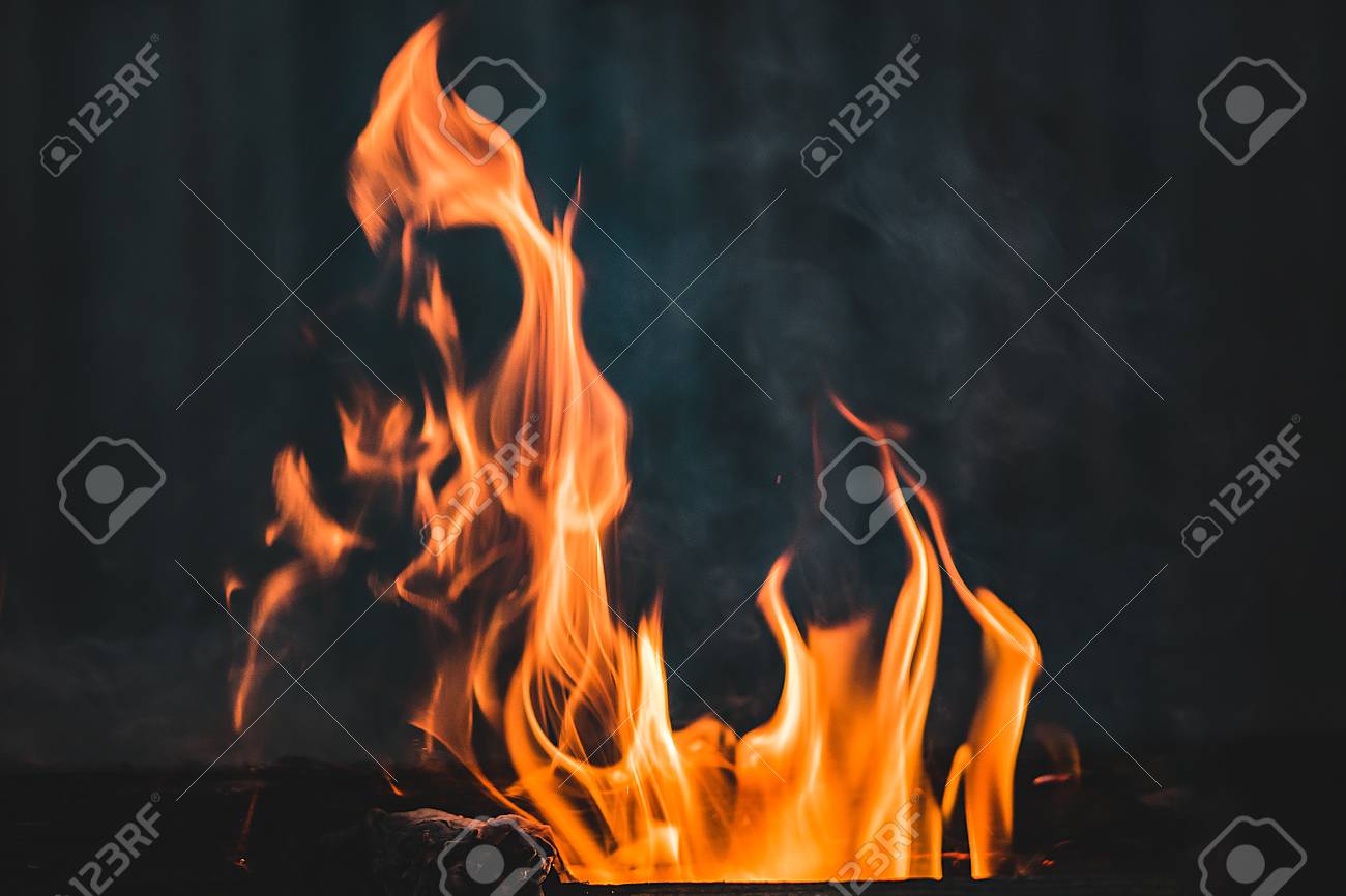 etiam-dictum-ipsum-a-felis