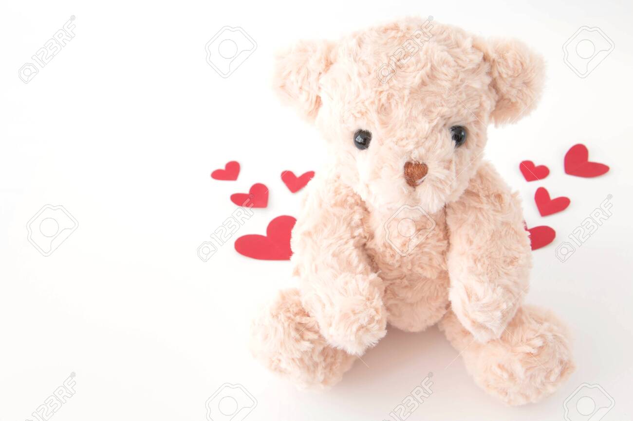 cute little teddy