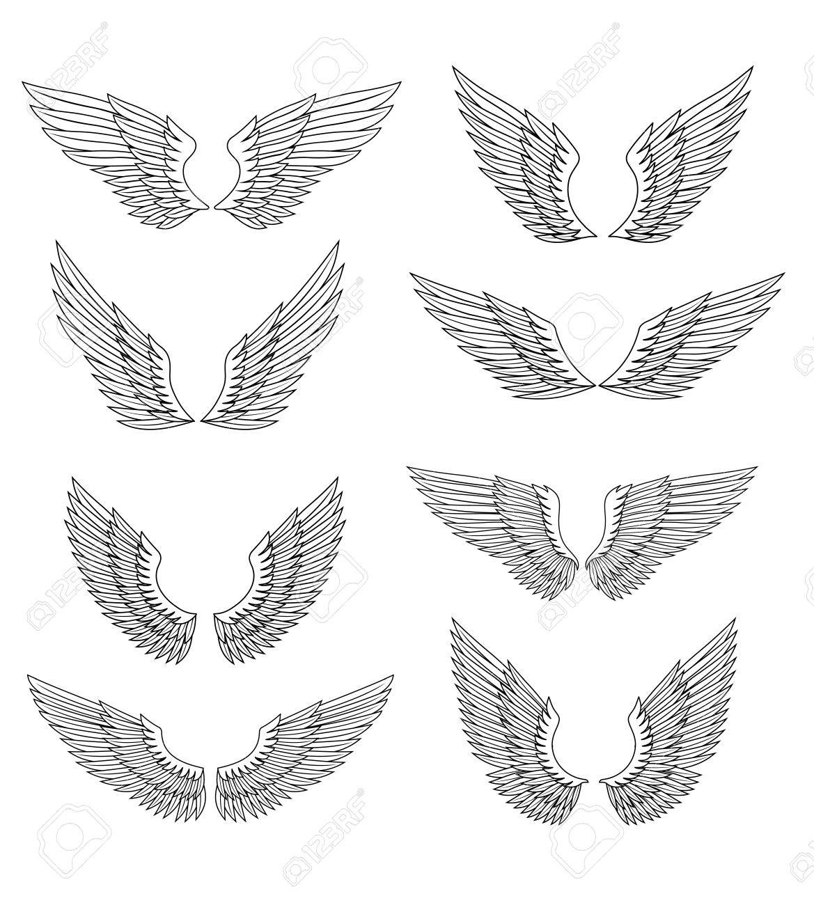 紋章の翼および羽の白で隔離され 設計のための設定 のイラスト素材 ベクタ Image