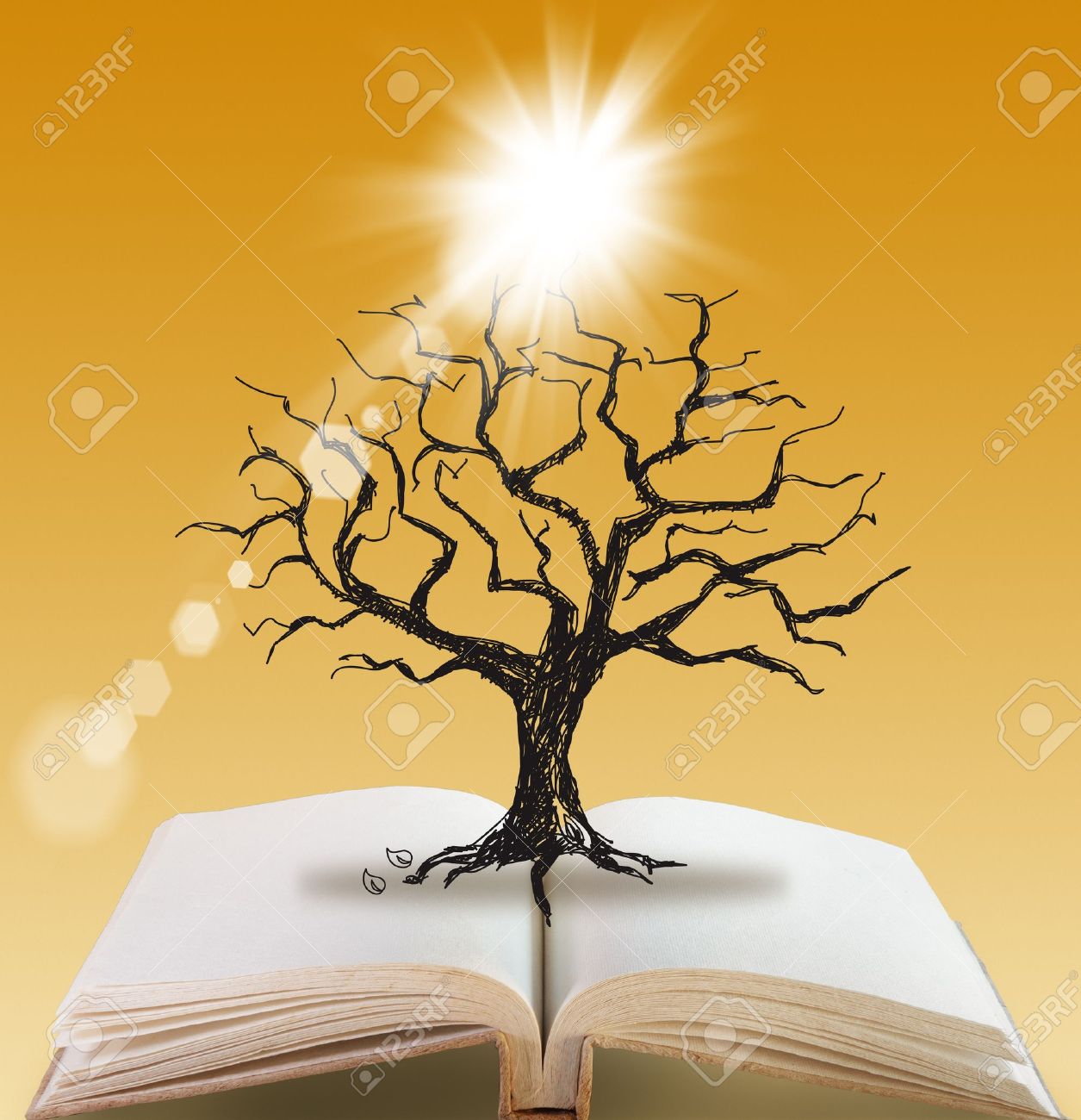 open book of Silhouette dead tree without leaves - 16096468 open book of Silhouette dead tree without leaves - 16096468
