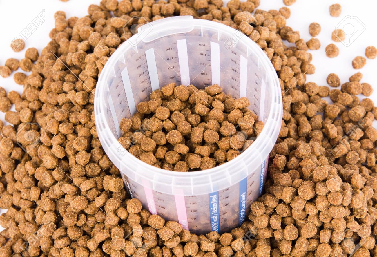 Корм. Как выглядит сухой корм. Как выглядит сухой корм. Гранулы корма для собак. Экструдированный корм для собак.