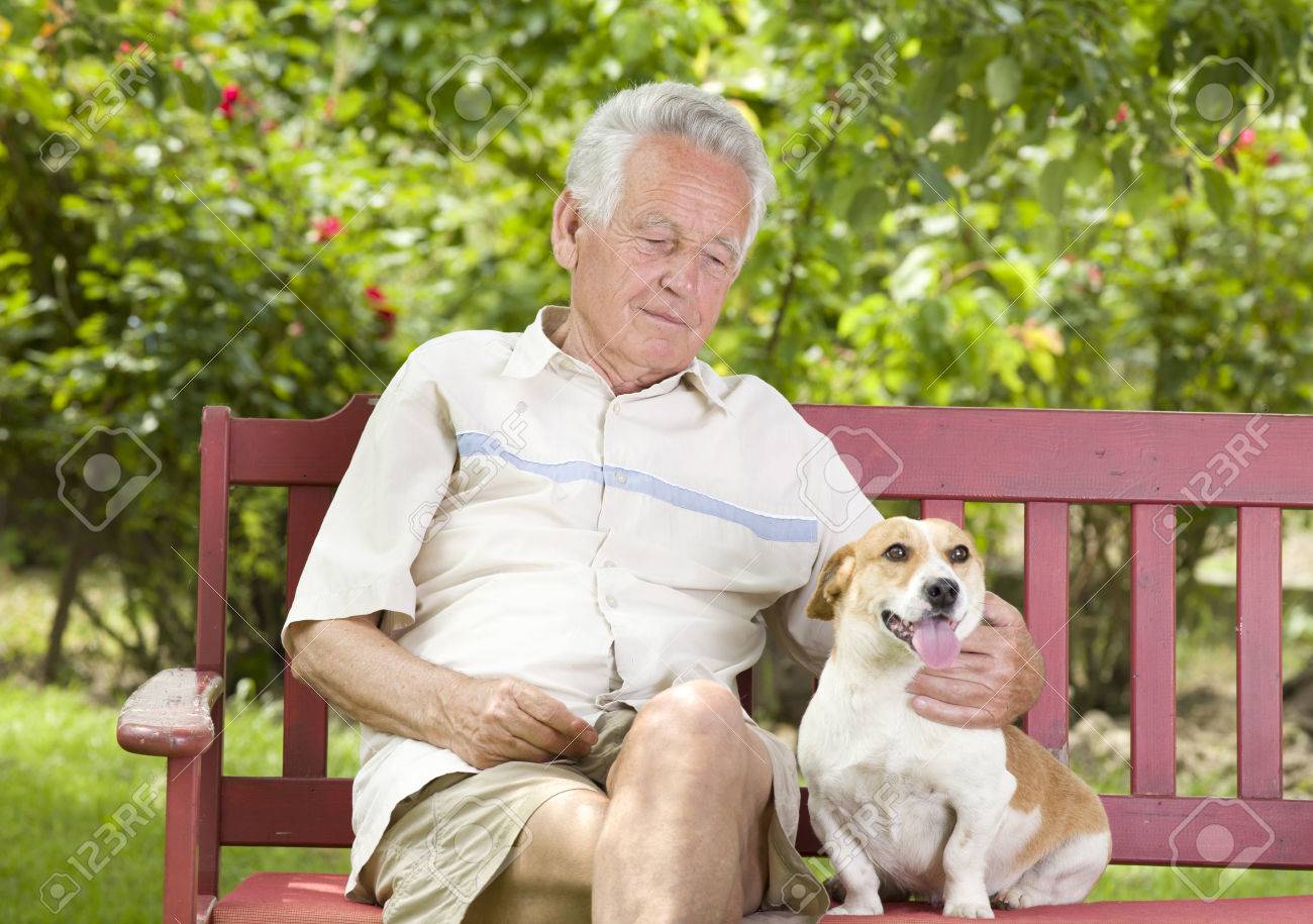 老人の庭のベンチに彼の犬を抱きしめる の写真素材 画像素材 Image 0106 老人の庭のベンチに彼の犬を抱きしめる の写真素材 画像素材 Image 0106