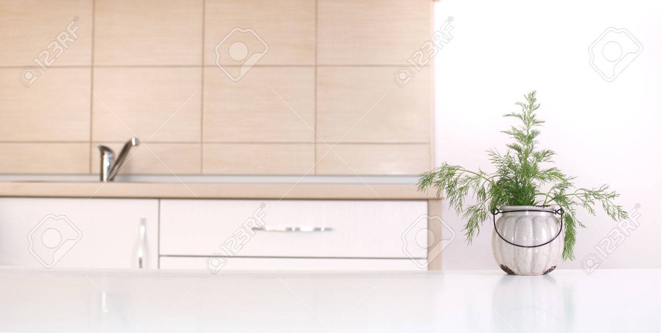 countertop background tiled fresh dill in pot on the white countertop kitchen sink and tiles background stock dill in pot on the white countertop sink and tiles countertop background tiled fresh dill in pot on the white countertop kitchen sink and tiles background stock dill in pot on the white countertop sink and tiles