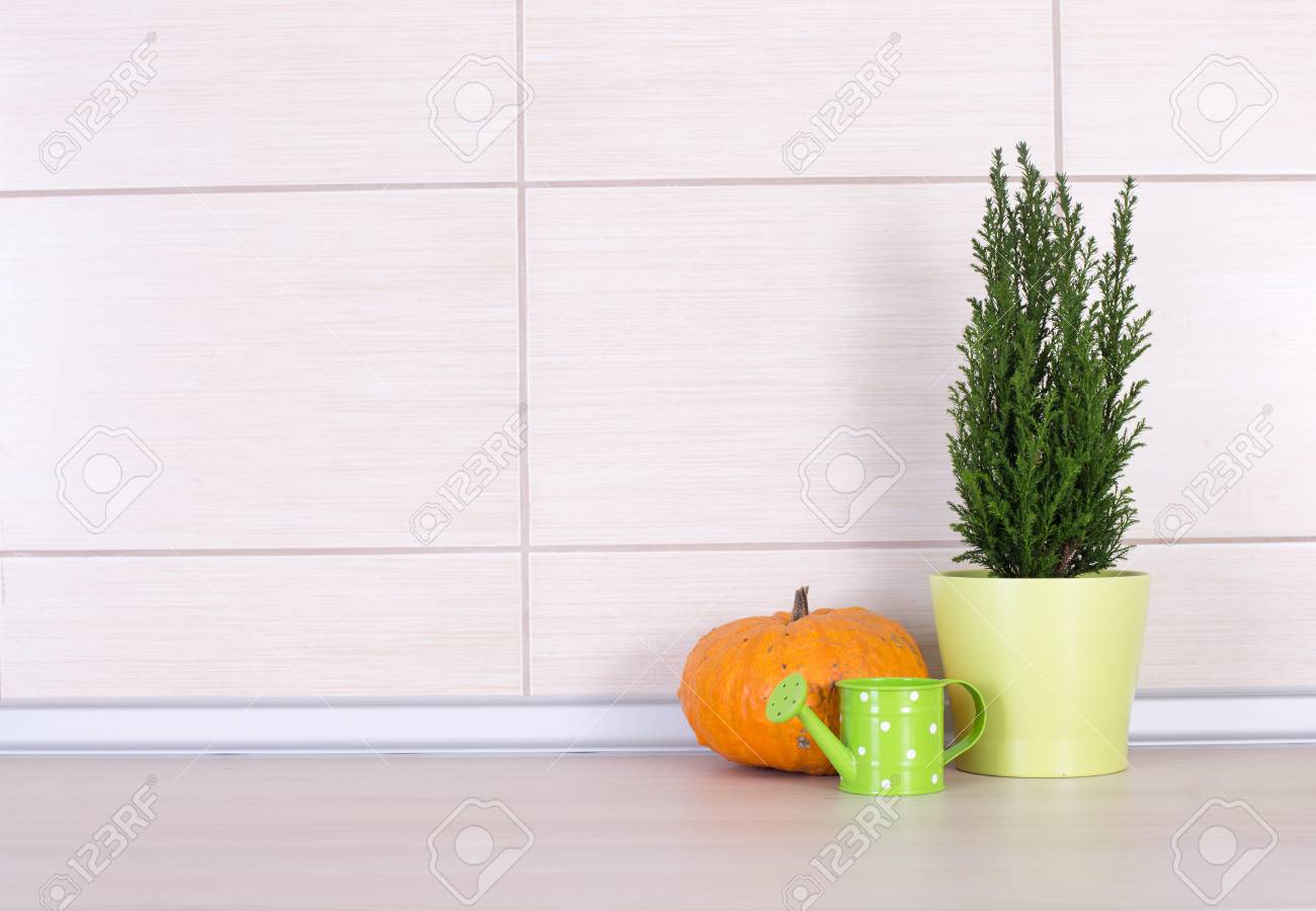 Décoration De Cuisine Sur Le Comptoir, Plante En Pot Vert, Orange ... Décoration De Cuisine Sur Le Comptoir, Plante En Pot Vert, Orange ...