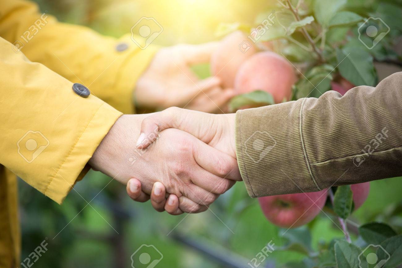 Close up of two men shaking hands in orchard. Agribusiness concept - 65101376 Close up of two men shaking hands in orchard. Agribusiness concept - 65101376