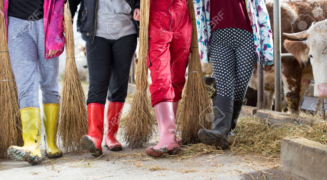 gumboots for farming