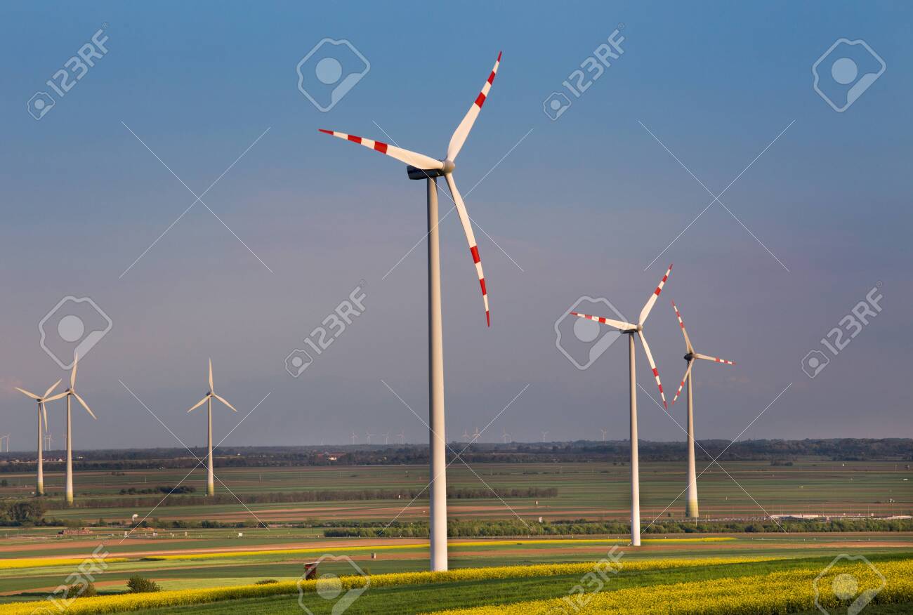 Wind turbine farm in yellow rapeseed fields in spring time. Renewable energy sources concept - 123225857 Wind turbine farm in yellow rapeseed fields in spring time. Renewable energy sources concept - 123225857