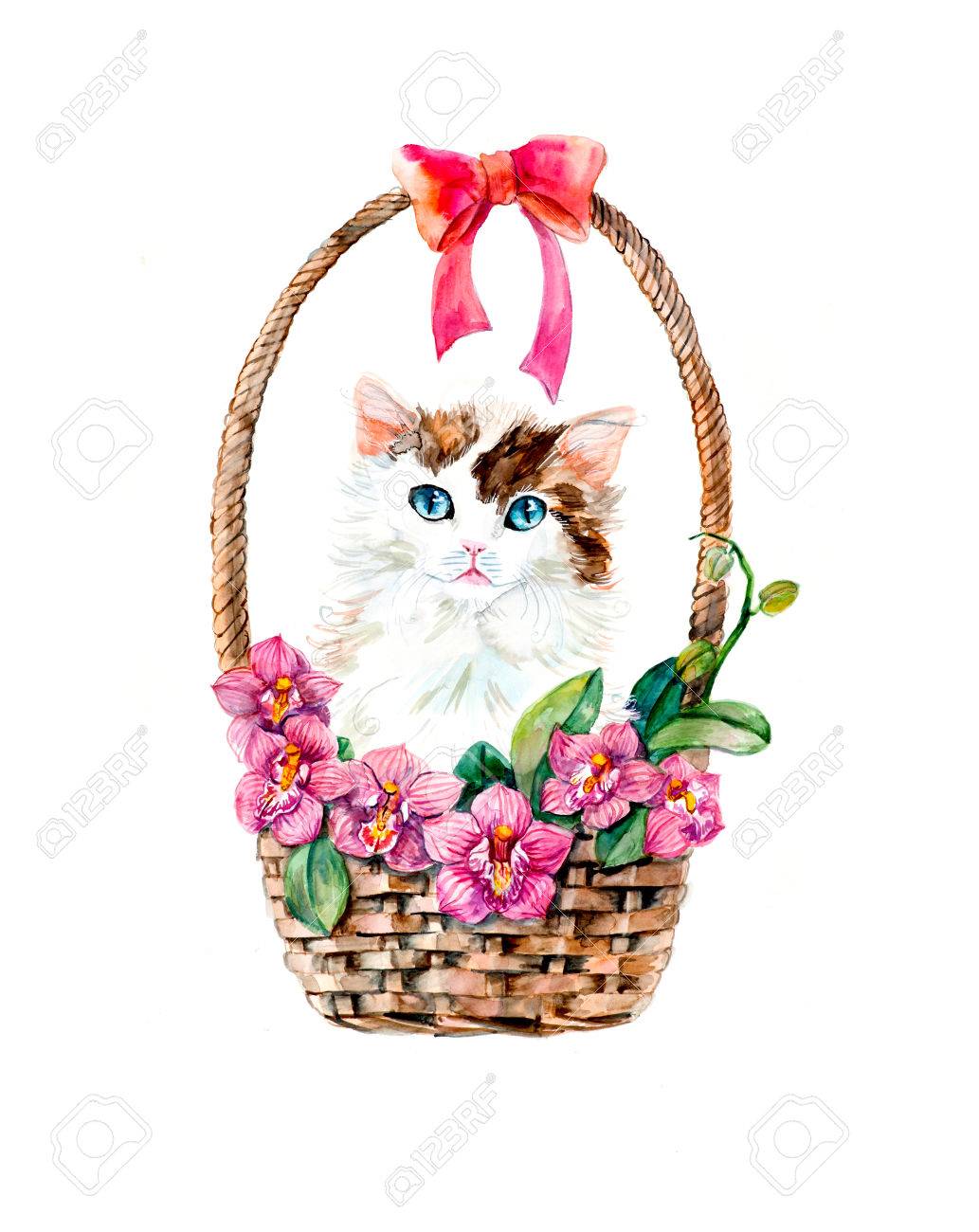 花のバスケットの子猫 バスケットの中のラン 花の背景 子猫 花と装飾 蘭の花束 水彩の手描きイラスト の写真素材 画像素材 Image