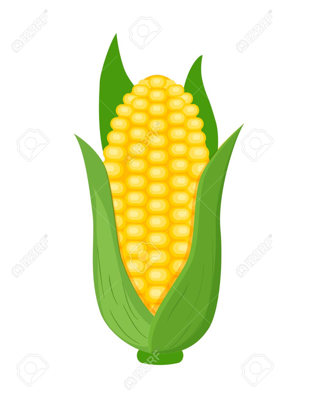Colorful Corn Vector Illustration Isolated On White Background Royalty Free Cliparts Vectors And Stock Illustration Image 106215214