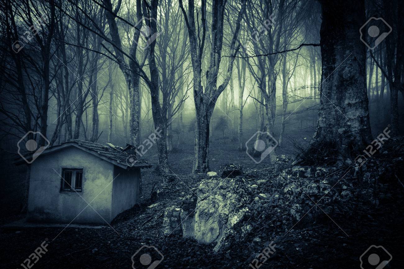 霧の森の廃屋のイメージ の写真素材 画像素材 Image