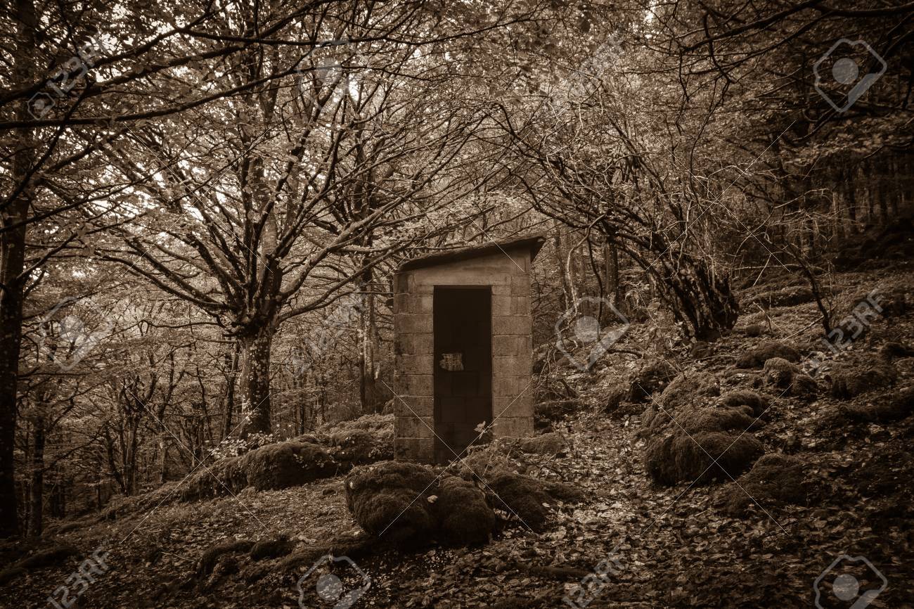 暗い森の中の廃屋 の写真素材 画像素材 Image