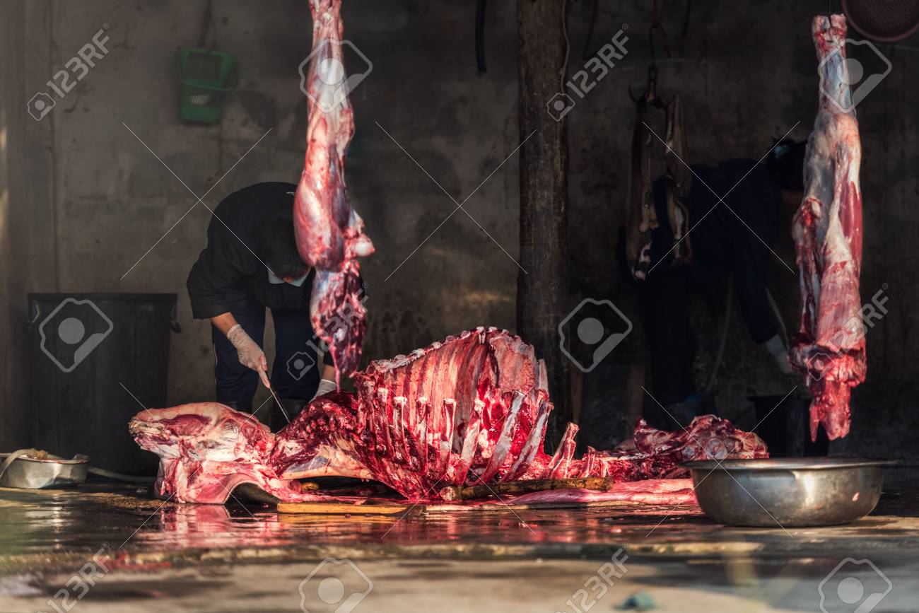 etiam-dictum-ipsum-a-felis