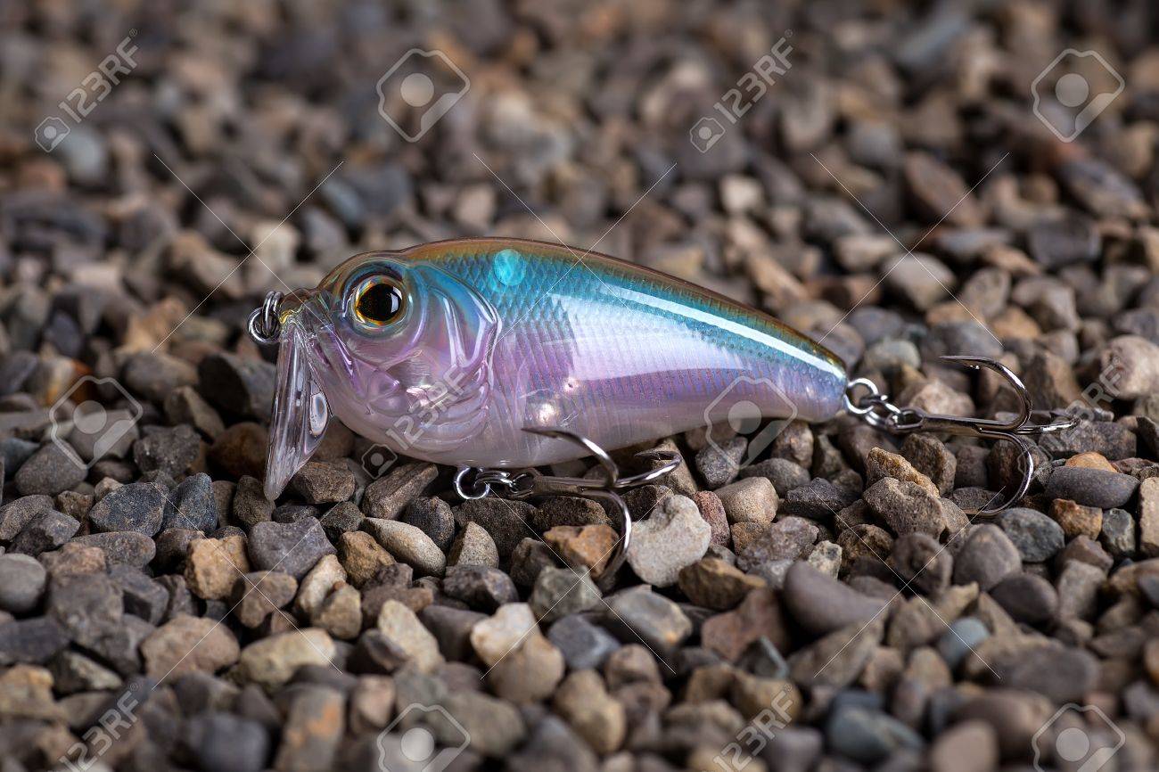 spin fish lure