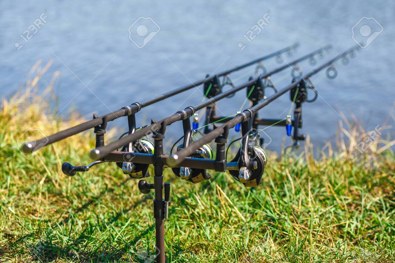 carp fishing tackle set