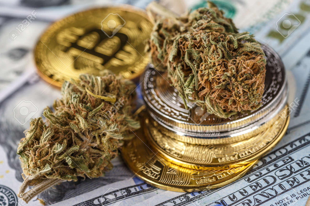ビットコイン暗号通貨コインを使用した医療用マリファナの芽大麻医療用マリファナの葉とビットコインBTC米ドル紙幣の暗号通貨コイン大麻ビジネスコンセプトの写真素材・画像素材  Image 181089085
