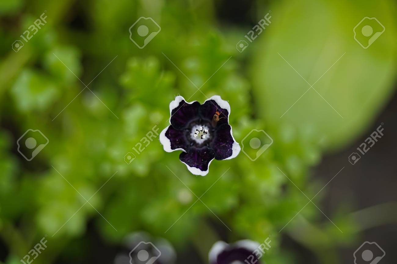 etiam-dictum-ipsum-a-felis